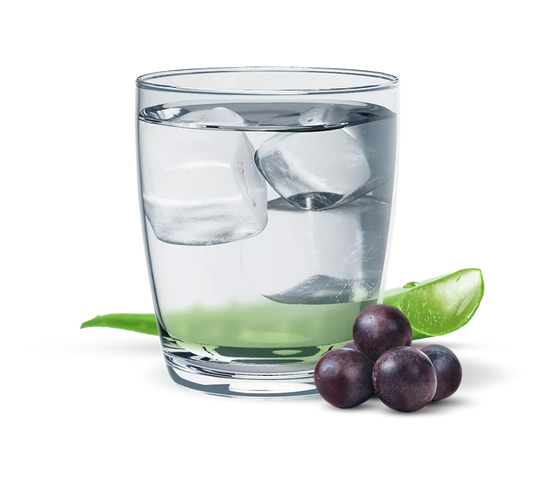 Herbal Aloe Concentrado Sabor Uva