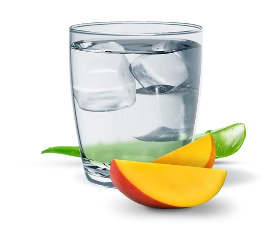 Herbal Aloe Concentrado Sabor Mango