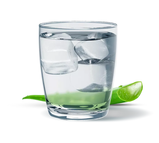 Herbal Aloe Concentrado Sabor Original