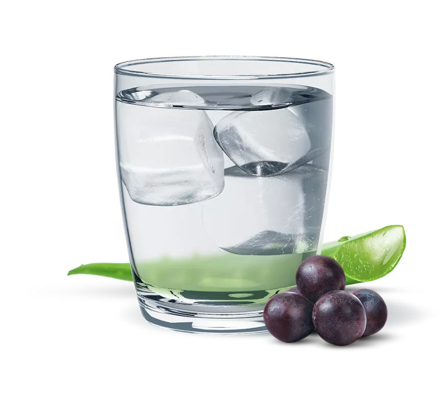 Herbal Aloe Concentrado Sabor Uva