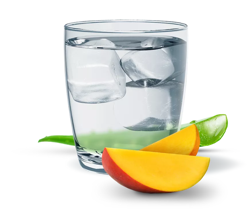 Herbal Aloe Concentrado Sabor Mango