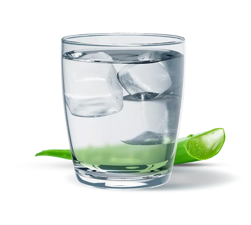 Herbal Aloe Concentrado Sabor Original