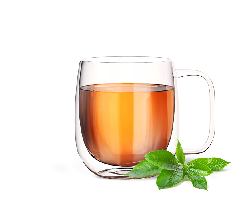 Té Concentrado de Hierbas Sabor Original